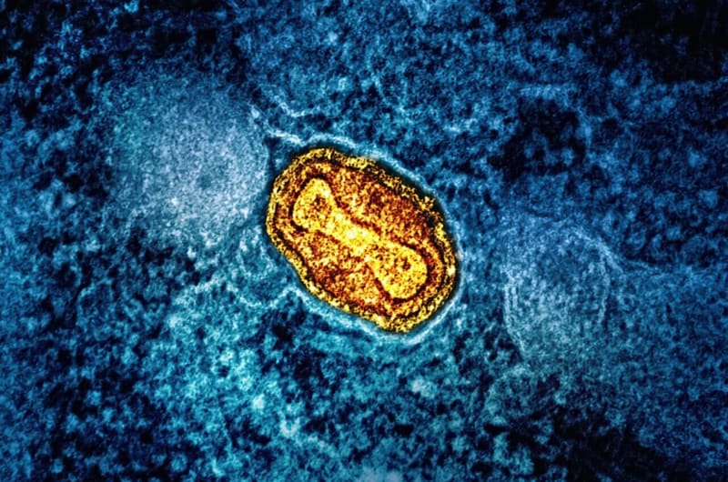 Africa Declares Victory Over Mpox Health Emergency - Image 2