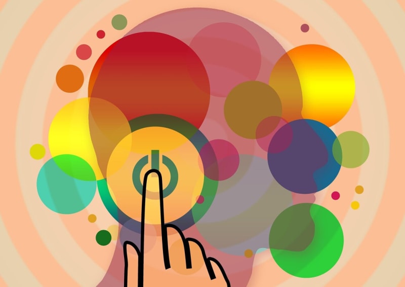 Your Brain Grows Stronger Like a Muscle, Science Confirms - Image 2