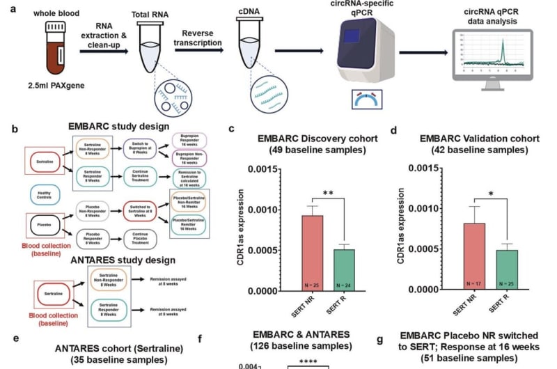 Blood Test Could End Depression Treatment Trial and Error - Image 2