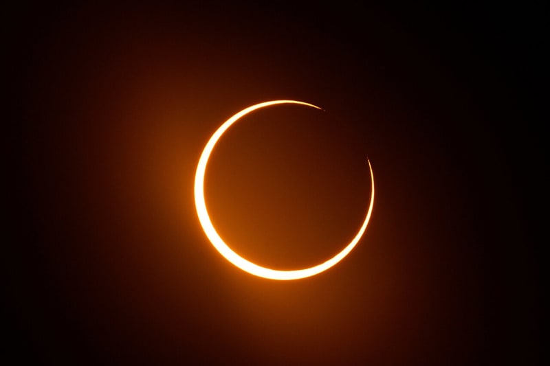 Antarctica's Penguins Get Front Row to Ring of Fire Eclipse - Image 2