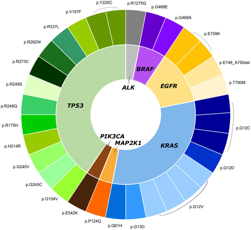 Breakthrough Blood Test Brings New Hope for Early Lung Cancer Detection - Image 2