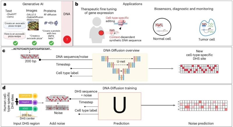 AI Creates DNA Sequences to Reactivate Cancer-Fighting Genes - Image 2