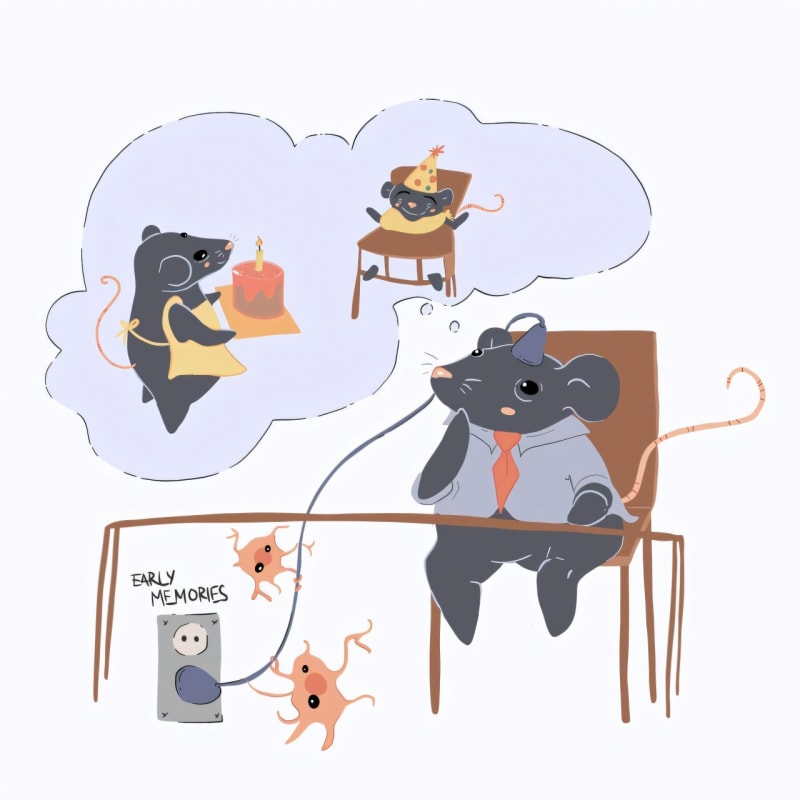 Brain Immune Cells Control What Babies Remember