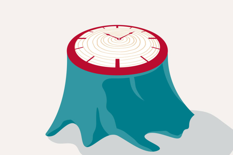 Blood Test Predicts Alzheimer's Onset Years in Advance - Image 2