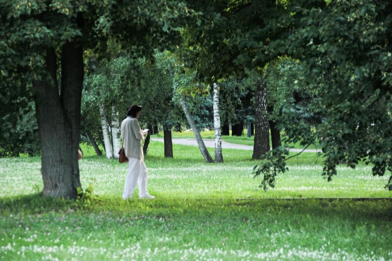 Nature Plus Exercise: Young Adults' Mental Health Booster - Image 2