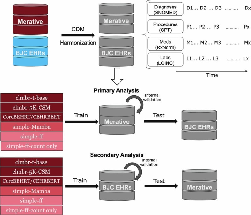 AI Predicts Spinal Cord Disease 30 Months Before Symptoms - Image 2