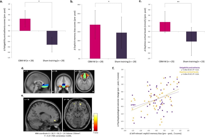 Memory Training Cuts Stress by Rewiring Positive Recall - Image 2