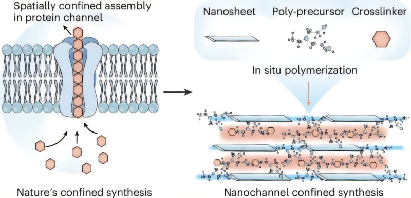 Scientists Double Membrane Strength for Clean Energy Tech