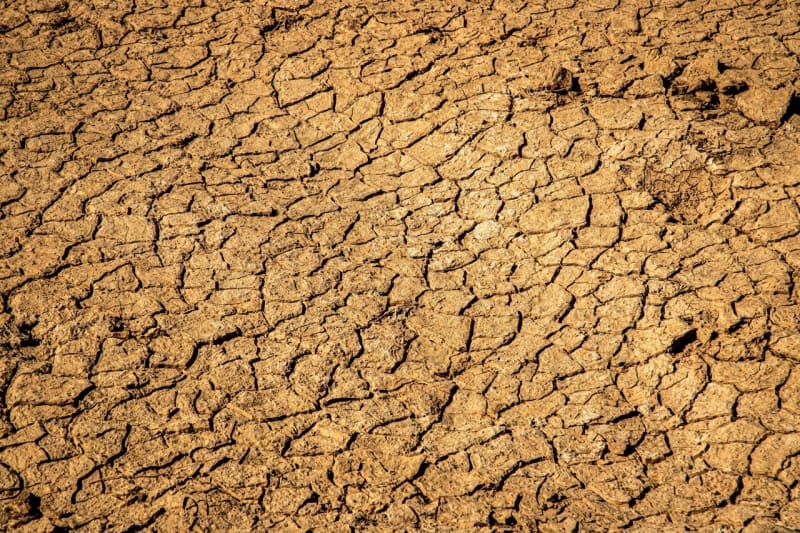 AI Study: 780M Could Avoid Hunger with Climate Action - Image 2