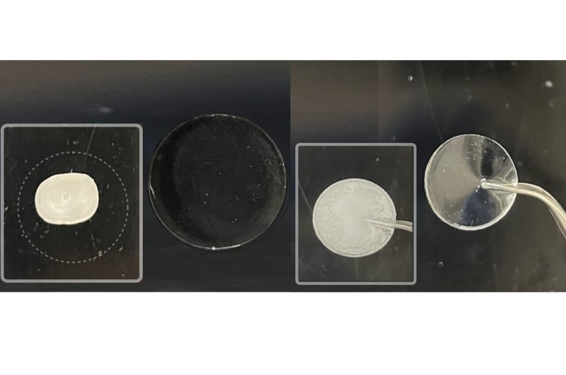 Penn State's Eel-Inspired Gel Battery Works at -112°F - Image 2