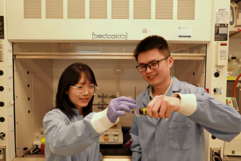 Two McGill University researchers in lab examining nanoparticle cancer treatment research samples