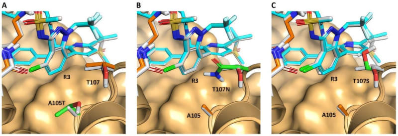 HIV Drug Resistance Comes With a Catch for the Virus