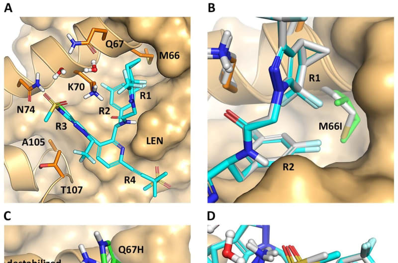 HIV Drug Resistance Actually Weakens the Virus - Image 2