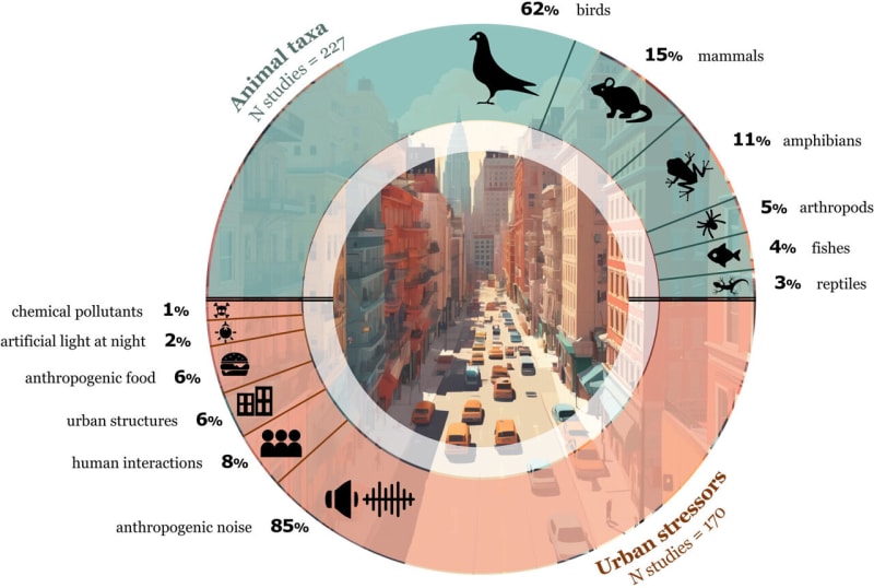 Cities Transform How Urban Animals Connect and Communicate - Image 2