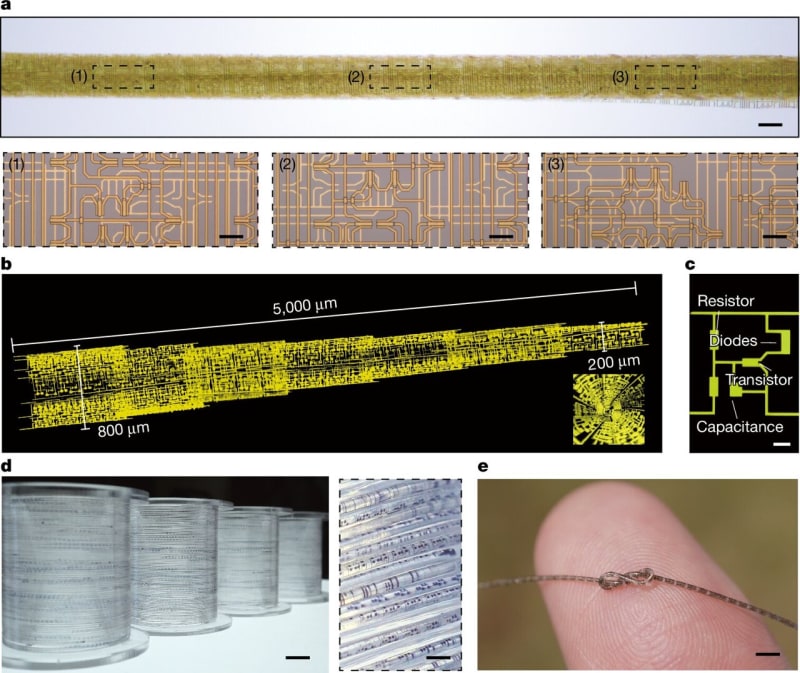 Scientists Roll Hair-Thin Chips Like Sushi for Smart Clothes - Image 2