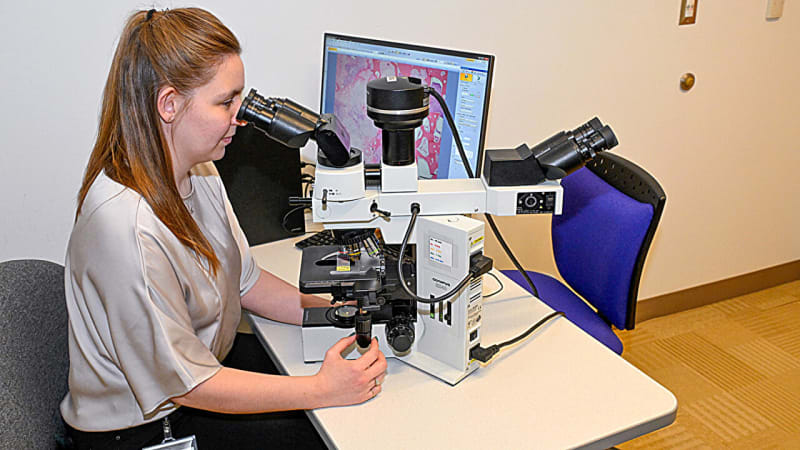Veterinary pathologist examining cat tumor samples in laboratory for cancer research study