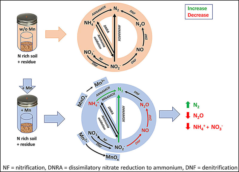 Simple Mineral Cuts Farm Pollution by 42%