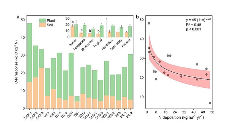 China's Forests Lock Away 65% of Nitrogen Pollution