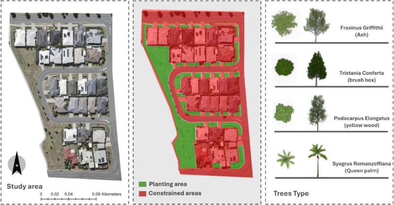 AI Tool Cools City Streets by 3.5°C With Smart Trees - Image 2