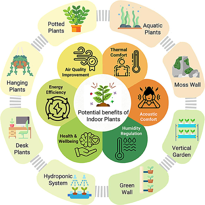 Lush green living wall with various plants inside modern bright office space