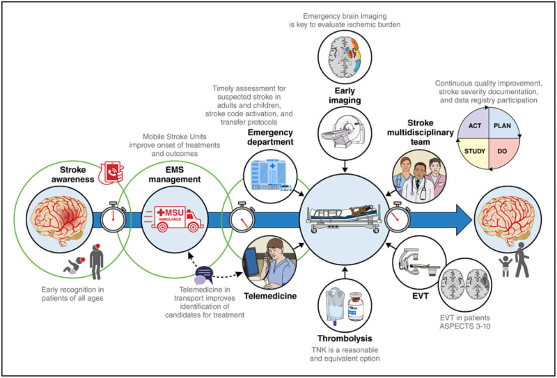 New Stroke Guidelines Expand Life-Saving Treatment Access - Image 2