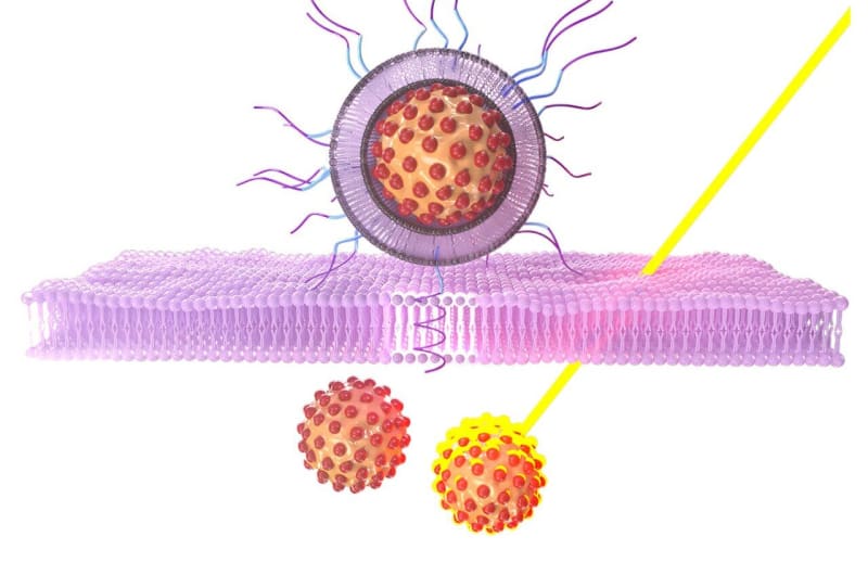 NYU Scientists Create Light-Activated Nanoparticles for Cancer - Image 2