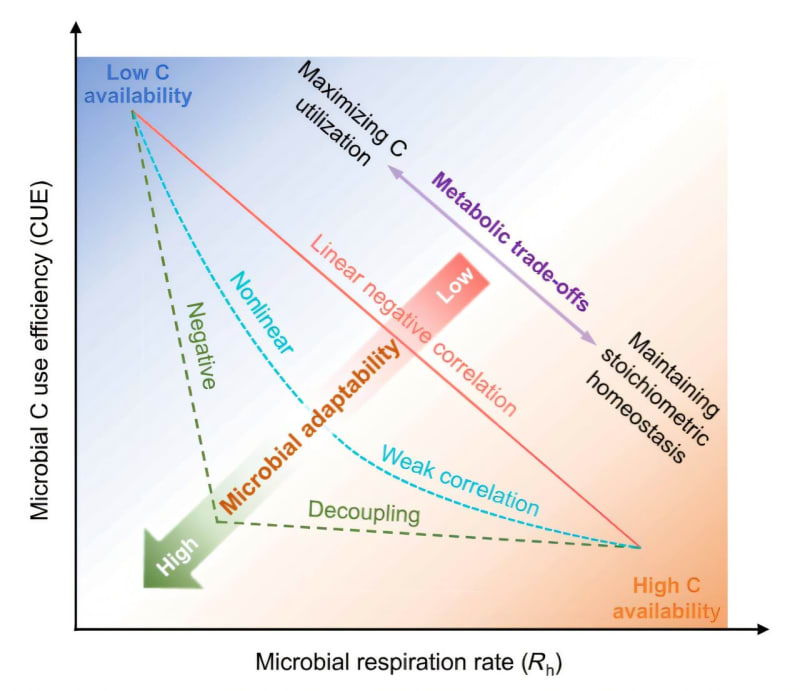 Soil Microbes May Store More Carbon Than Scientists Thought