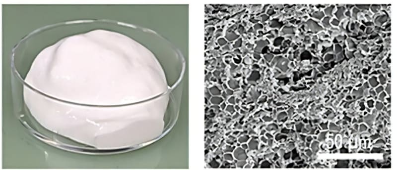 Microscopic view of protein foam battery binder showing tiny cylindrical channels for ion transport