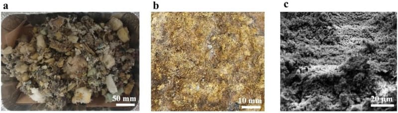 Fungi Turn Old Mattresses Into Fire-Resistant Insulation - Image 2