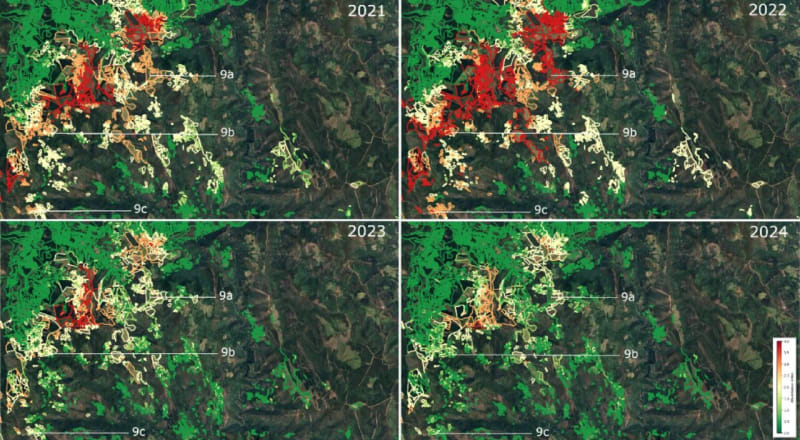 Spanish Satellite System Predicts Farm Vole Outbreaks Early - Image 2