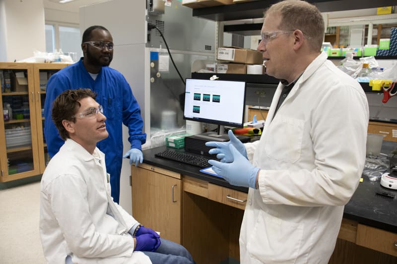 Breakthrough CRISPR Discovery Promises Revolutionary Single Test for Multiple Viruses - Image 2