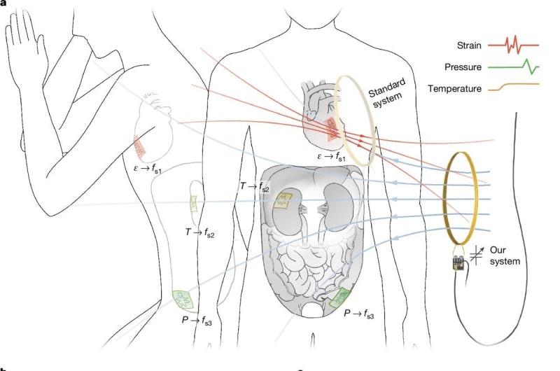 Scientists Create Dissolving Sensors That Read Deep Inside Body - Image 2