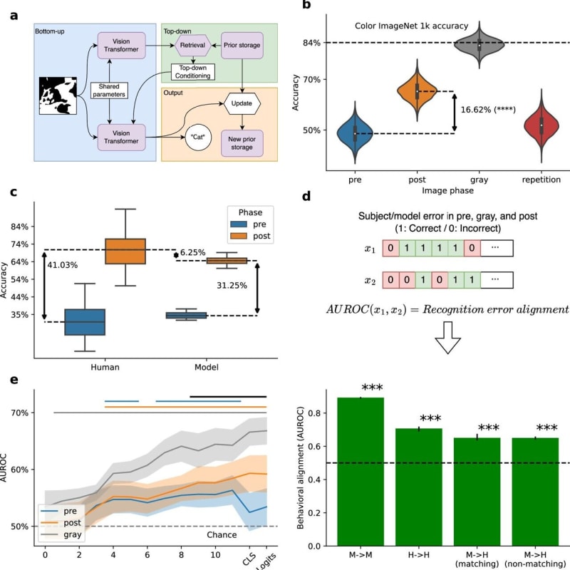 Scientists Find Where "Aha Moments" Happen in the Brain - Image 2