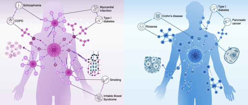 Scientists Prove Women Need Different Medical Treatments - Image 2