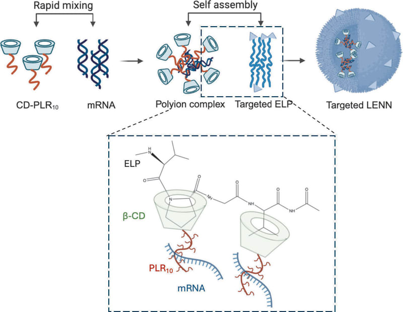 New Cancer Treatment Stays Stable at Room Temperature - Image 2