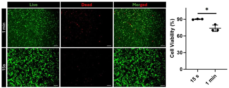 Light-Activated Gel Heals Wounds Like Natural Tissue - Image 2