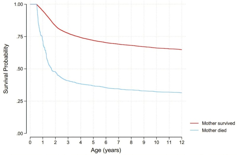 Family Bonds Saved Children's Lives During Slavery