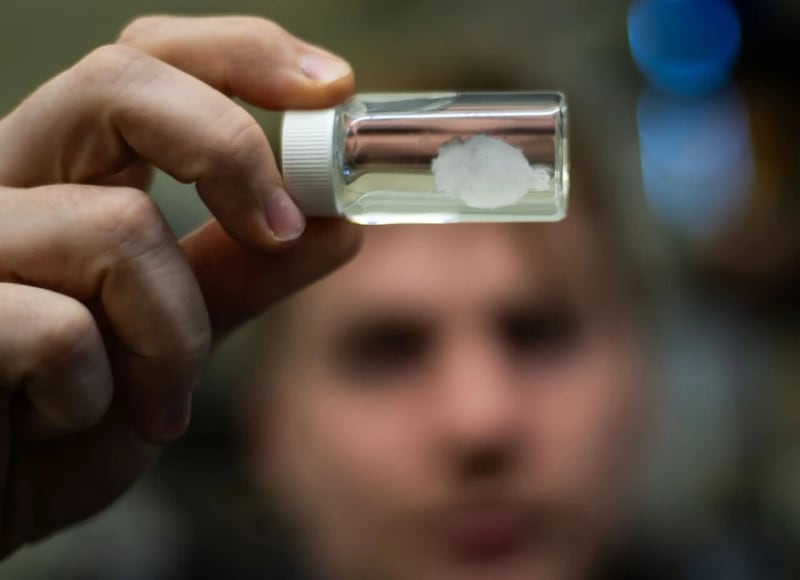 High Schooler Leads Lab Creating Jell-O Brains for TBI - Image 2