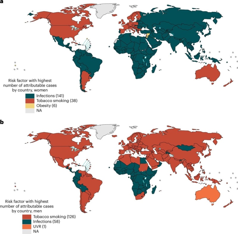 40% of Cancers Worldwide May Be Preventable, Study Finds - Image 2
