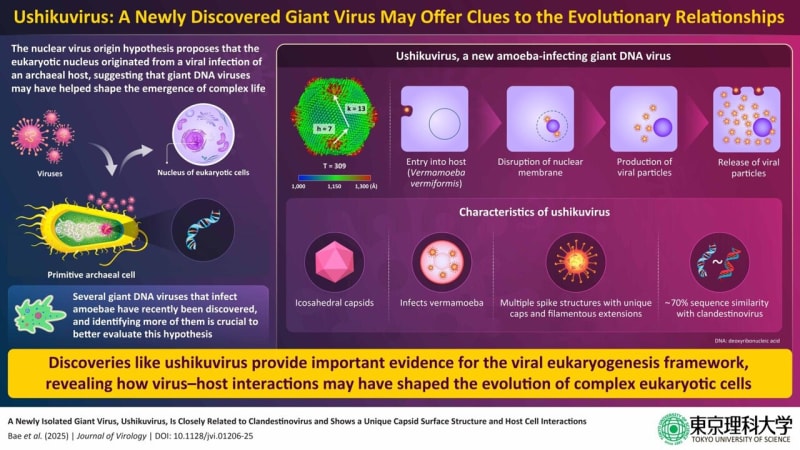 Exciting Discovery: Giant Virus Reveals Secrets About How Life Began on Earth - Image 2
