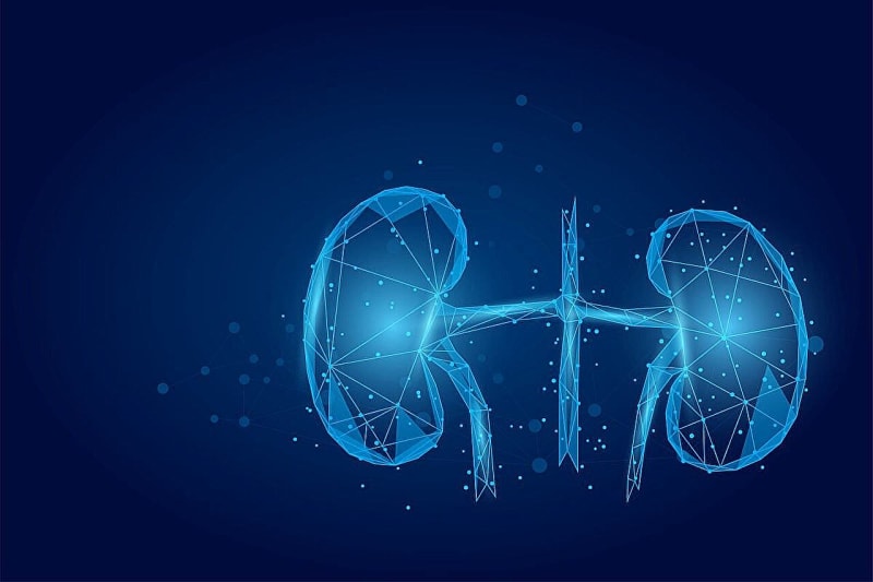 Medical professionals reviewing patient care guidelines with kidney health diagrams and treatment protocols displayed