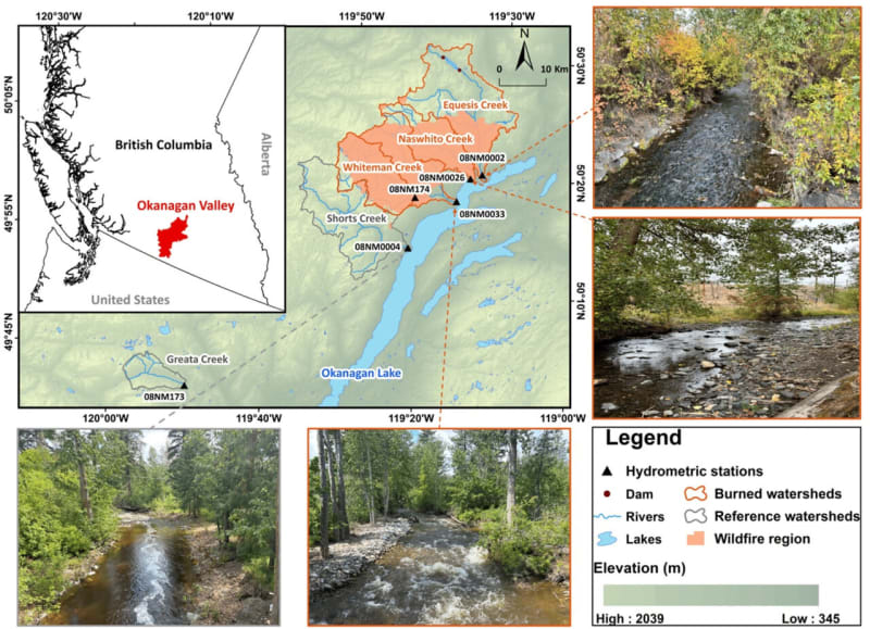 Wildfire Mystery Solved: Why Some Creeks Flow Stronger - Image 2