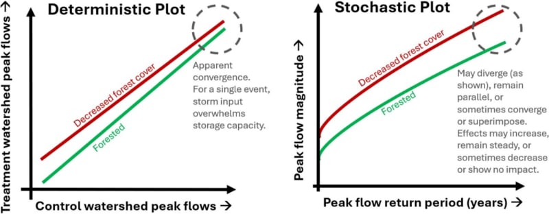 Forests Reduce Major Flood Risk More Than We Thought - Image 2