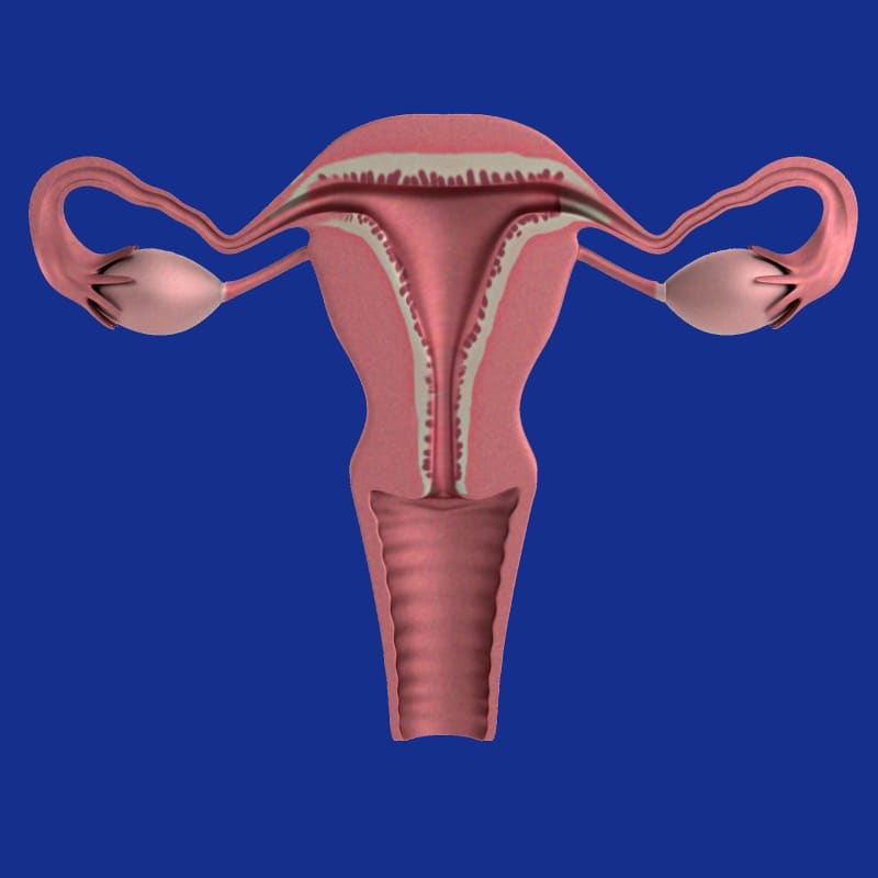 Menstrual Blood Test Could Replace Cervical Cancer Screening