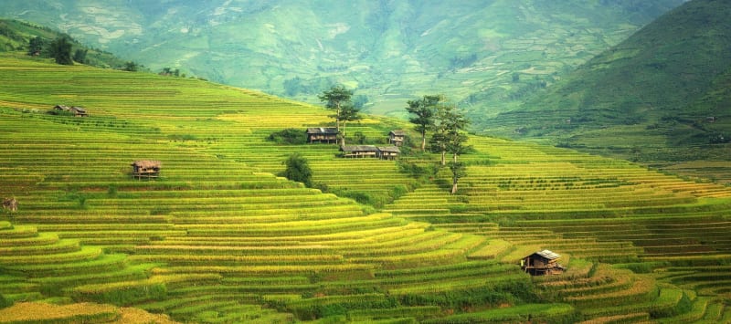 Ancient Rice Terraces Show Climate Solutions That Work