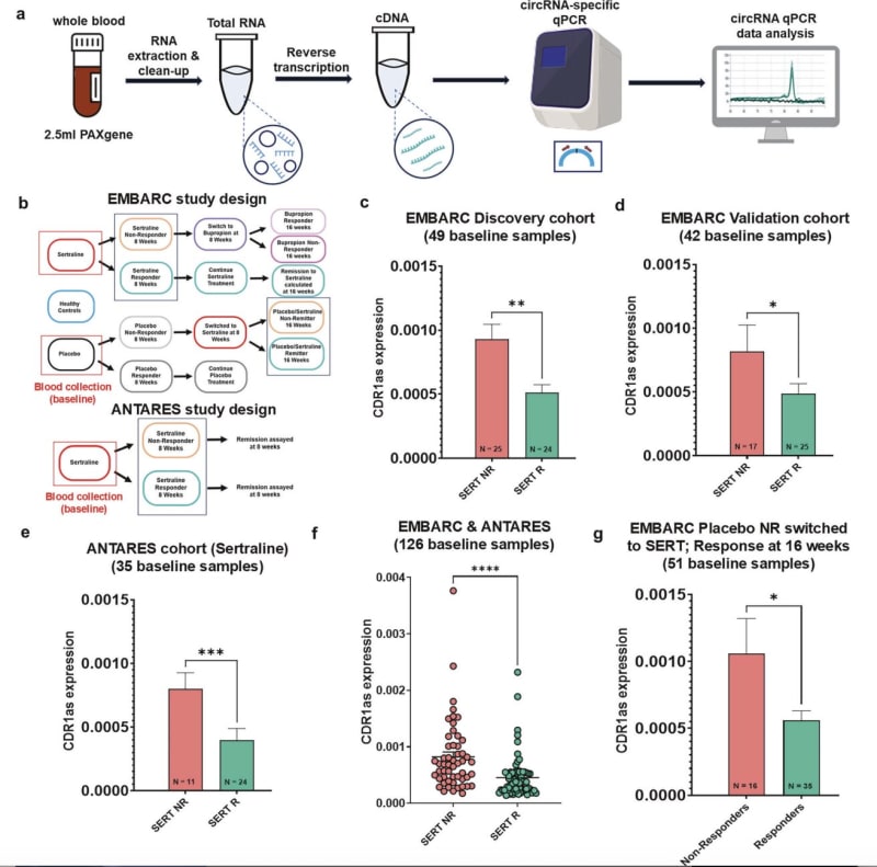 Blood Test Could End Depression Treatment Trial and Error