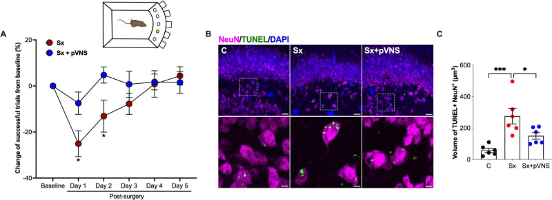 Duke Finds Way to Prevent Confusion After Surgery