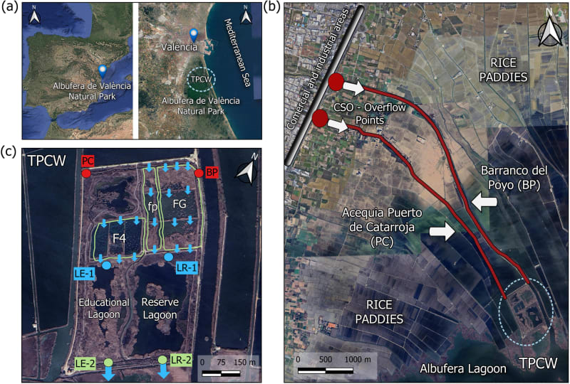 Artificial Wetlands Cut Water Pollution by 80 Percent