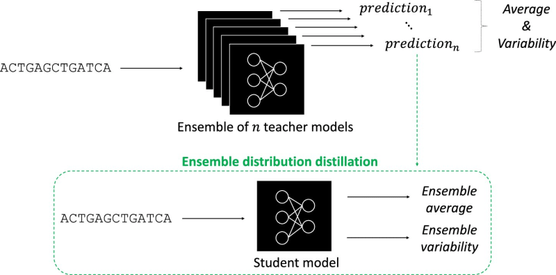 New AI Tool Cuts Genomic Research Costs and Time by 90%