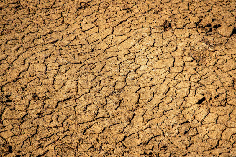 AI Study: 780M Could Avoid Hunger with Climate Action